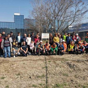 Голяма компания засади 70 дръвчета в „Тракия”
