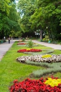 Нови фигури от живи цветя превръщат Пловдив в цветна галерия