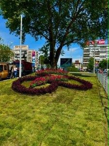 Пловдив разцъфна в цветовете на Джиро д’Италия