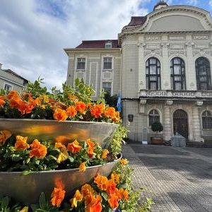 ПРОГРАМА ПО СЛУЧАЙ 1 ЮНИ – МЕЖДУНАРОДЕН ДЕН НА ДЕТЕТО