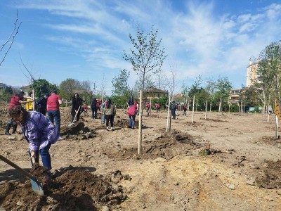 С над 1000 засадени дървета приключи пролетната залесителна кампания в Пловдив