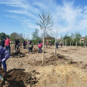 С над 1000 засадени дървета приключи пролетната залесителна кампания в Пловдив