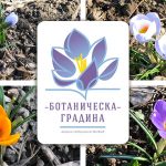 Започва изграждането на ограда на Ботаническата градина