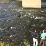 Издирват мъж в коритото на река Марица