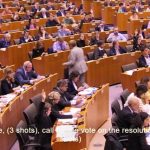 EП: Трябват действия срещу фалшивите новини и външната намеса в изборите
