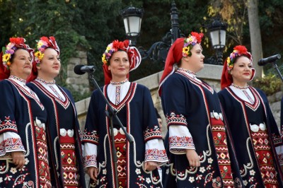 defilenamladotovino(5)