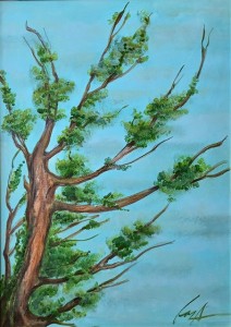 Kloni-v-nebesata-1-50-70